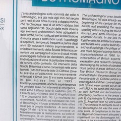 Botromagno