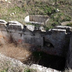 Botromagno