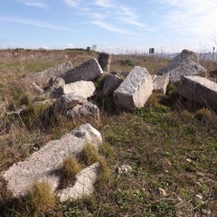 Botromagno