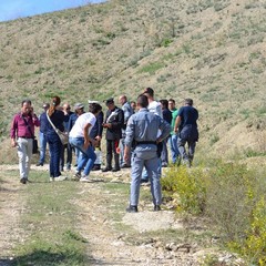 Tragedia al Matera Balloon Festival