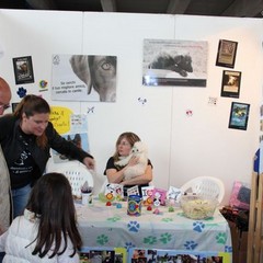 espositori Fiera 2015
