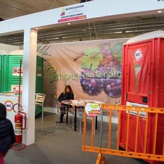 espositori Fiera 2015