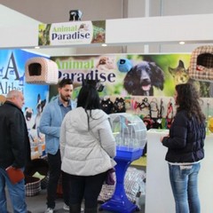 espositori fiera 2015