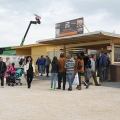 fiera animali 2015