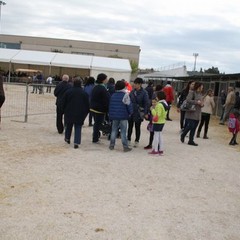 fiera animali 2015
