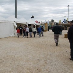 fiera animali 2015