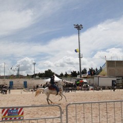 Fiera animali