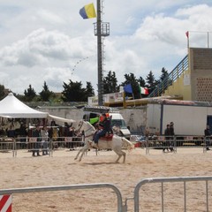 Fiera animali