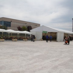 Fiera animali