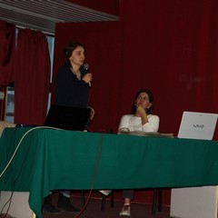 img 1181