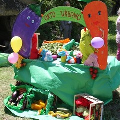 img 1699