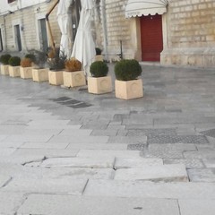 Basole divelte nel centro storico