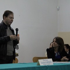 img 8331