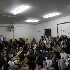 img 8333