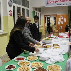 img 8379