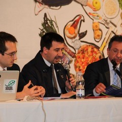 La Fondazione "E.P.santomasi" ed il sistema dell'Alta Murgia