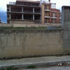 muro