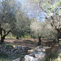 "Premio Cultura" del Comune di Gravina in Puglia: “Distensione” - Giuseppe Portagnuolo