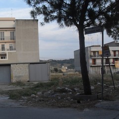 Periferia