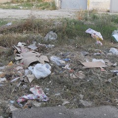 Periferia