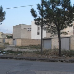 Periferia