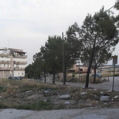 Periferia