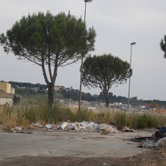 Periferia