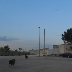 Periferia