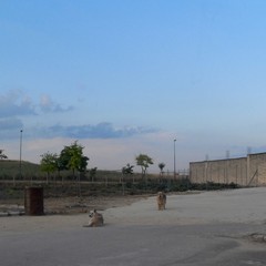 Periferia
