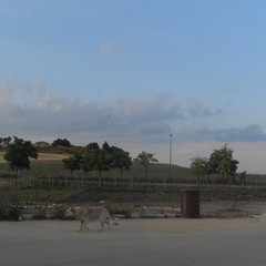 Periferia