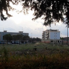 Periferia