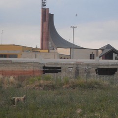 Periferia