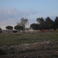 Periferia