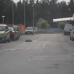 Periferia