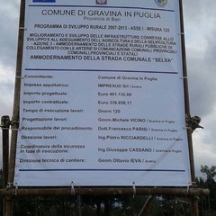 selva7