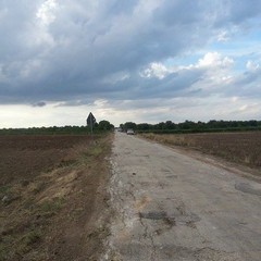 selva 4