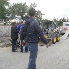 selva 5