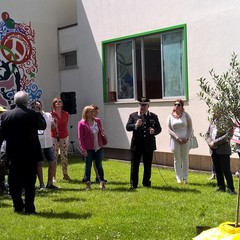 Un albero per ricordare - Montemurro