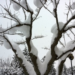 Neve a Gravina