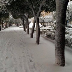 Neve a Gravina