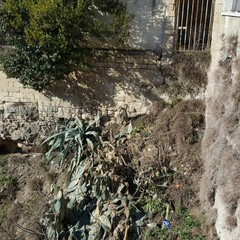 Atti vandalici a San Michele delle Grotte