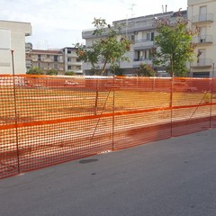 JPG