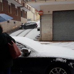 Disagi neve