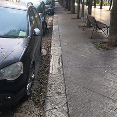 alberi villa