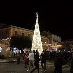 albero natale 2024