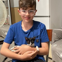 bambino con gatto