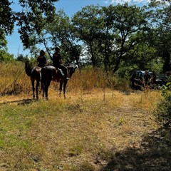 carabinieri a cavallo