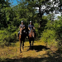 carabinieri a cavallo