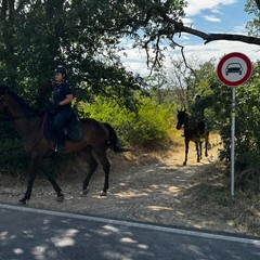 carabinieri a cavallo
