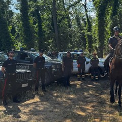 carabinieri a cavallo